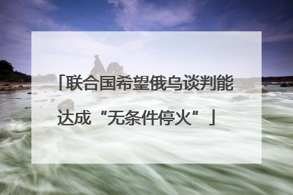 联合国希望俄乌谈判能达成“无条件停火”