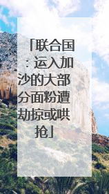 联合国：运入加沙的大部分面粉遭劫掠或哄抢