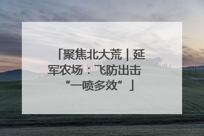 聚焦北大荒｜延军农场：飞防出击 “一喷多效”