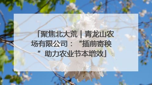 聚焦北大荒｜青龙山农场有限公司：“插前寄秧”助力农业节本增效