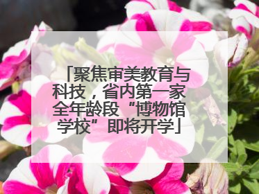 聚焦审美教育与科技，省内第一家全年龄段“博物馆学校”即将开学
