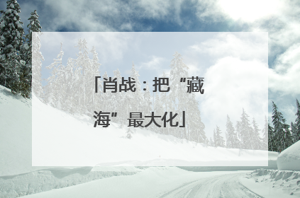 肖战：把“藏海”最大化