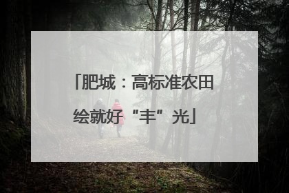 肥城：高标准农田绘就好“丰”光