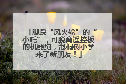 脚踩“风火轮”的“小吒”，可脱离遥控板的机器狗，泡桐树小学来了新朋友！