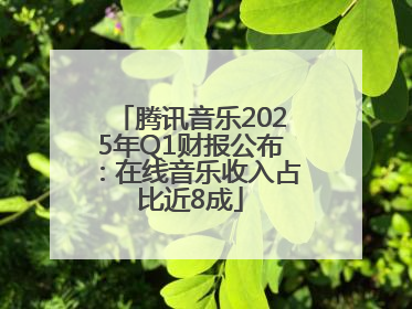 腾讯音乐2025年Q1财报公布：在线音乐收入占比近8成
