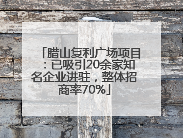 腊山复利广场项目：已吸引20余家知名企业进驻，整体招商率70%