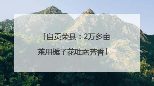 自贡荣县：2万多亩茶用栀子花吐露芳香