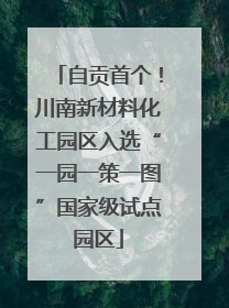 自贡首个！川南新材料化工园区入选“一园一策一图”国家级试点园区