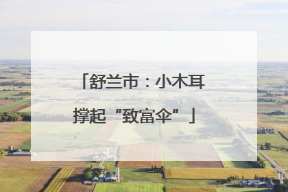 舒兰市：小木耳撑起“致富伞”