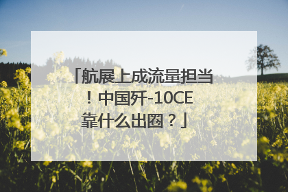 航展上成流量担当！中国歼-10CE靠什么出圈？