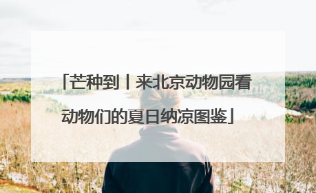芒种到丨来北京动物园看动物们的夏日纳凉图鉴