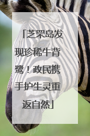 芝罘岛发现珍稀牛背鹭！政民携手护生灵重返自然