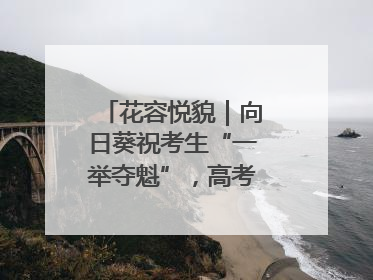 花容悦貌｜向日葵祝考生“一举夺魁”，高考带动鲜花热潮