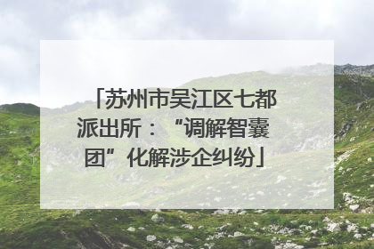 苏州市吴江区七都派出所：“调解智囊团”化解涉企纠纷