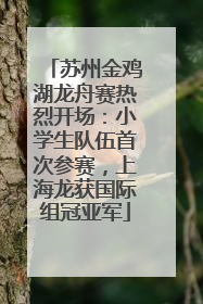 苏州金鸡湖龙舟赛热烈开场：小学生队伍首次参赛，上海龙获国际组冠亚军