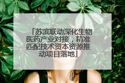 苏滨联动深化生物医药产业对接，精准匹配技术资本资源推动项目落地