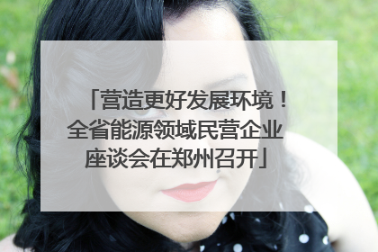 营造更好发展环境！全省能源领域民营企业座谈会在郑州召开