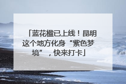 蓝花楹已上线！昆明这个地方化身“紫色梦境”，快来打卡