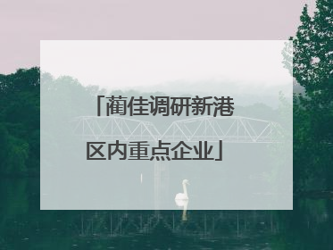 蔺佳调研新港区内重点企业