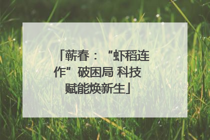 蕲春：“虾稻连作”破困局 科技赋能焕新生