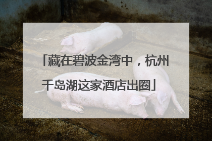 藏在碧波金湾中，杭州千岛湖这家酒店出圈