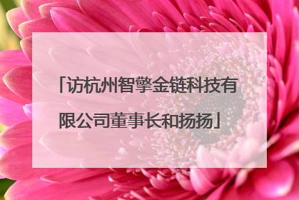 访杭州智擎金链科技有限公司董事长和扬扬