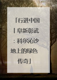 行进中国丨阜新彰武：科尔沁沙地上的绿色传奇