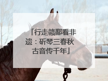 行走赣鄱看非遗：斫琴三春秋 古音传千年