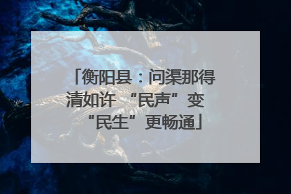 衡阳县：问渠那得清如许 “民声”变“民生”更畅通
