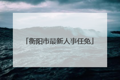 衡阳市最新人事任免