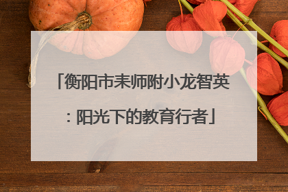 衡阳市耒师附小龙智英：阳光下的教育行者