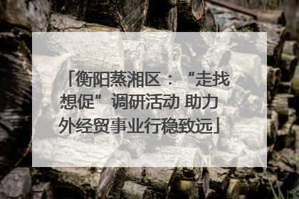 衡阳蒸湘区：“走找想促”调研活动 助力外经贸事业行稳致远