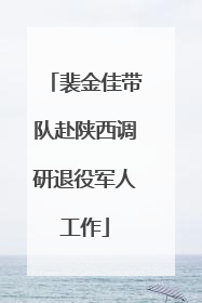 裴金佳带队赴陕西调研退役军人工作