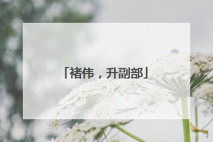 褚伟，升副部