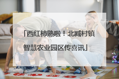 西红柿熟啦！北臧村镇智慧农业园区传喜讯