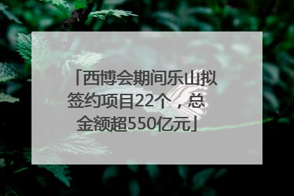 西博会期间乐山拟签约项目22个，总金额超550亿元