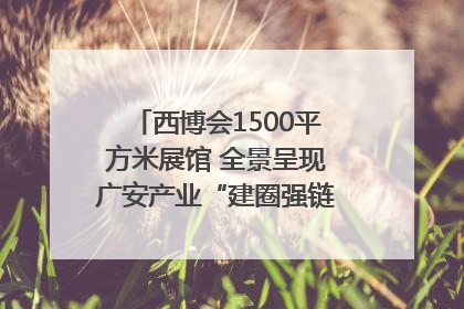 西博会1500平方米展馆 全景呈现广安产业“建圈强链”｜西博视界