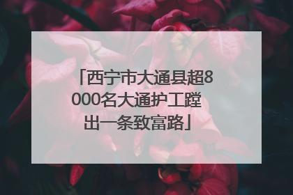 西宁市大通县超8000名大通护工蹚出一条致富路