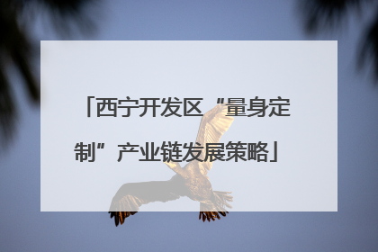 西宁开发区“量身定制”产业链发展策略