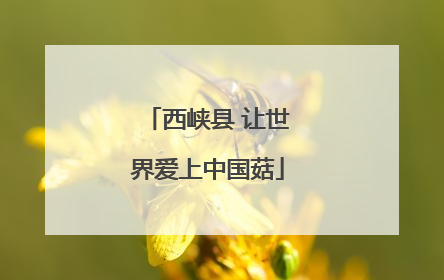 西峡县 让世界爱上中国菇