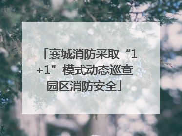 襄城消防采取“1+1”模式动态巡查园区消防安全