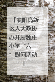 襄阳高新区人大政协办开展魏庄小学“六一”慰问活动