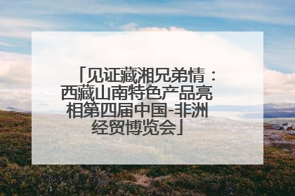 见证藏湘兄弟情：西藏山南特色产品亮相第四届中国-非洲经贸博览会