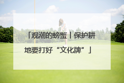 观潮的螃蟹丨保护耕地要打好“文化牌”
