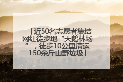 近50名志愿者集结网红徒步地“天鹅林场”，徒步10公里清运150余斤山野垃圾