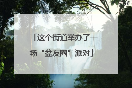 这个街道举办了一场“盆友圈”派对