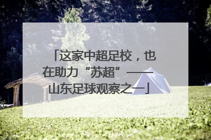 这家中超足校，也在助力“苏超”——山东足球观察之一