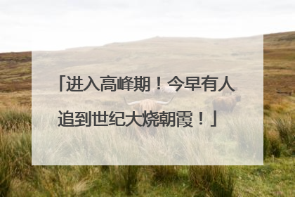 进入高峰期！今早有人追到世纪大烧朝霞！
