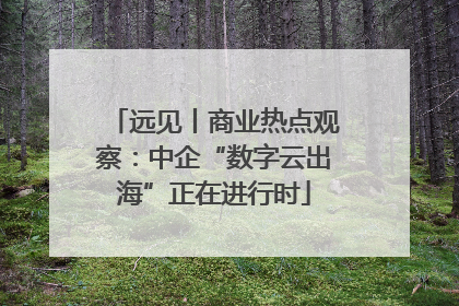 远见丨商业热点观察：中企“数字云出海”正在进行时