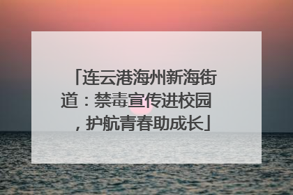连云港海州新海街道：禁毒宣传进校园，护航青春助成长